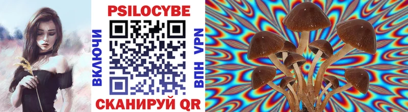 дарк нет какой сайт  Поронайск  Псилоцибиновые грибы мицелий  купить наркотики цена 